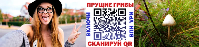hydra зеркало  Хвалынск  Псилоцибиновые грибы мицелий 
