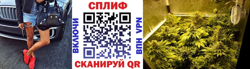 Бошки марихуана семена  Хвалынск 